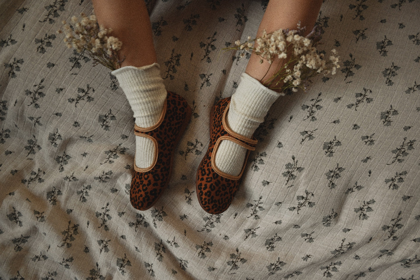 Latino Series-Leopard