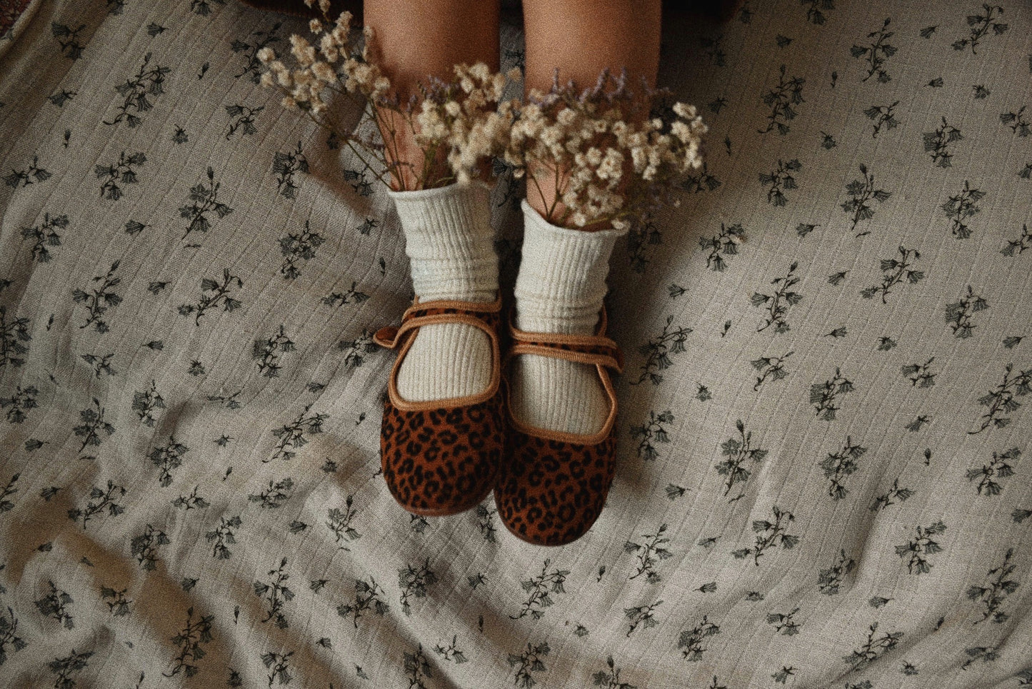 Latino Series-Leopard