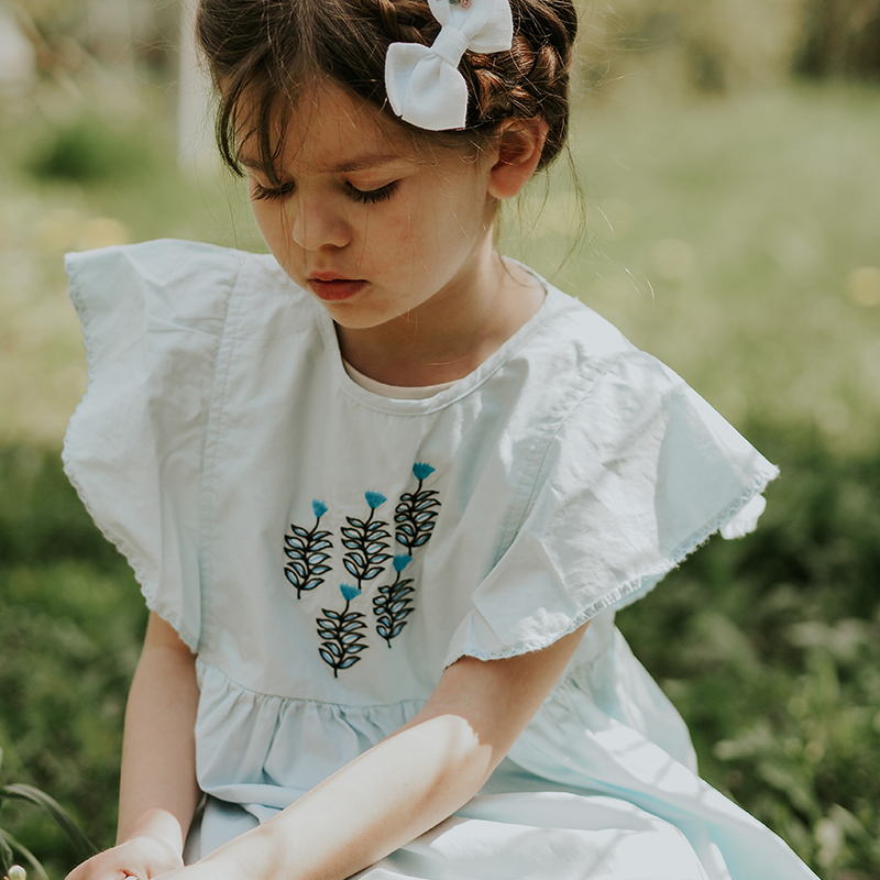 Girls Fly Sleeve Embroidered Dress 12322023